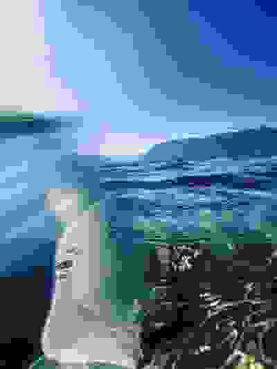 2022-07-06