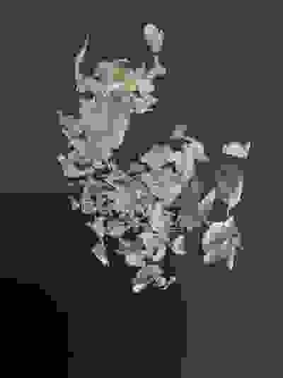 2024-12-23