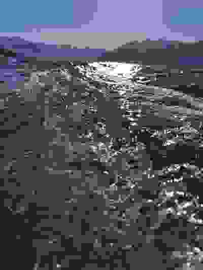 2025-01-26