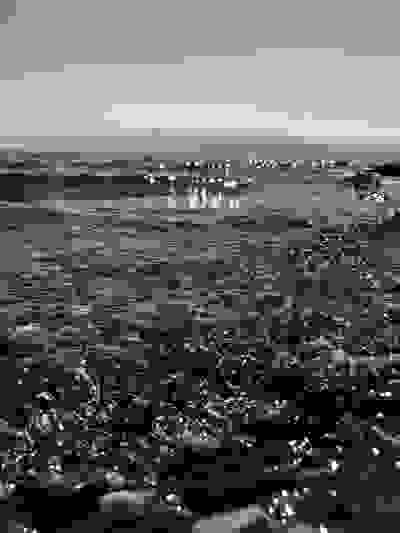2020-03-24
