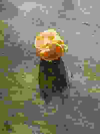 2025-01-25