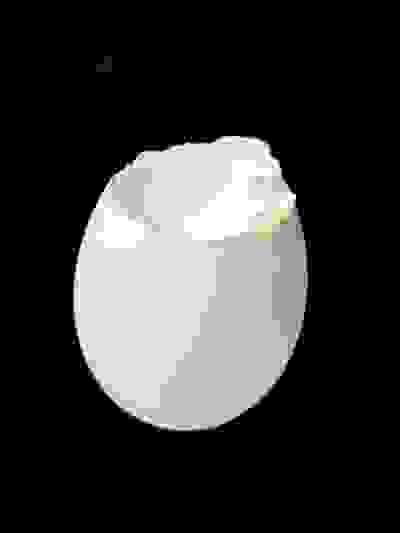 2024-12-21