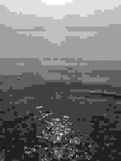 2020-03-29