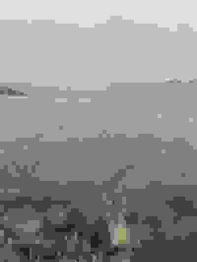 2021-03-03