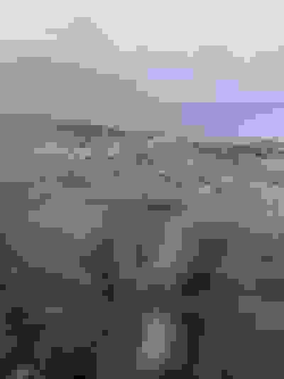 2025-06-01